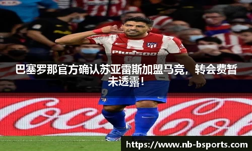 B体育