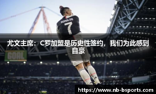 B体育