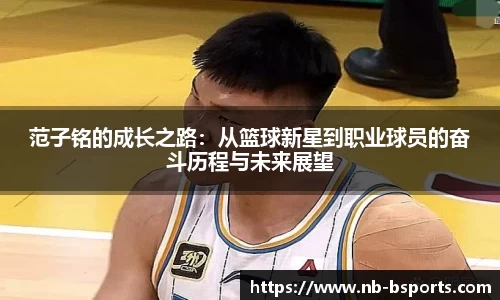 B体育官方网站