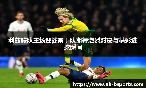 B体育官方