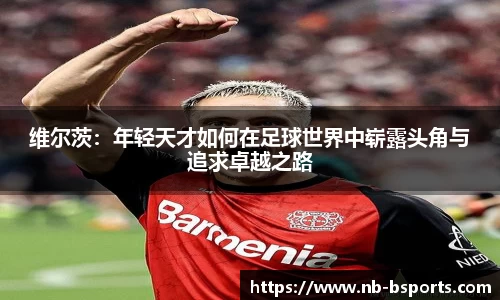 B体育