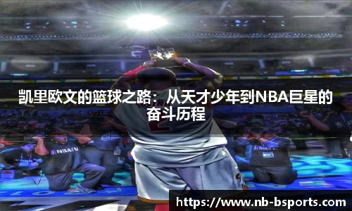 B体育官方网站