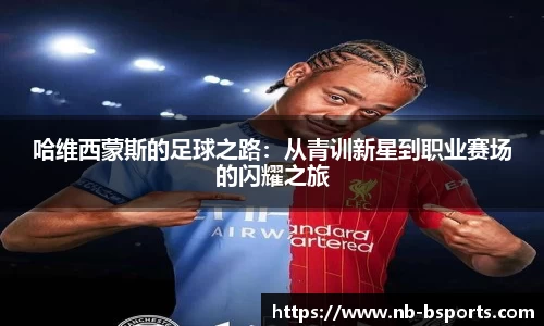 bsport体育