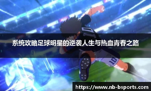 B体育官方网站